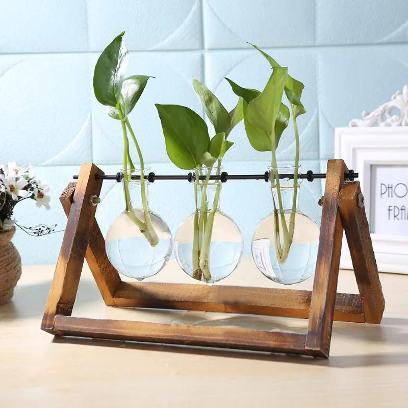 Glass and Wood Vase Planter Table Desktop My Store