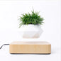 Potted Plant Home Desk Decor My Store