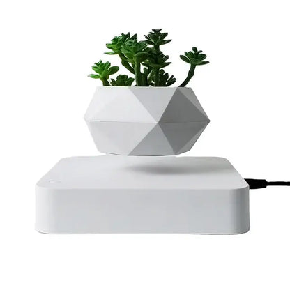 Potted Plant Home Desk Decor My Store