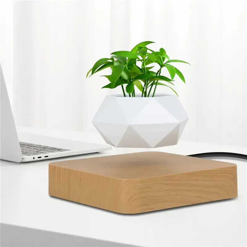 Potted Plant Home Desk Decor My Store