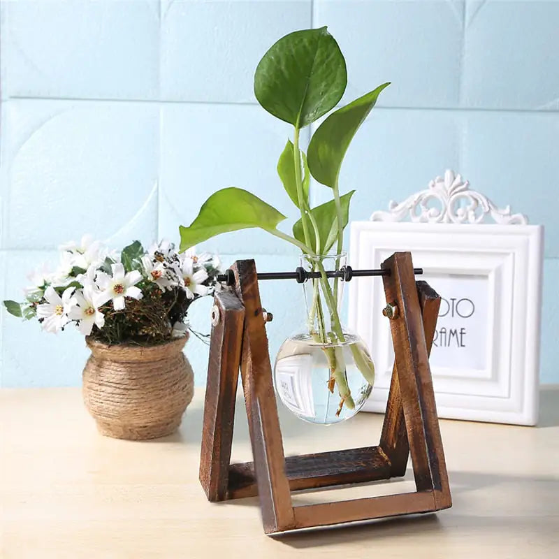 Glass and Wood Vase Planter Table Desktop My Store