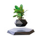 Potted Plant Home Desk Decor My Store