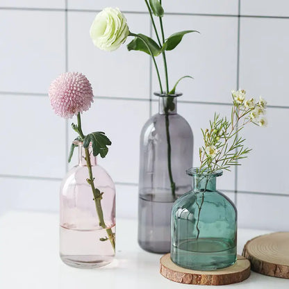 Nordic Glass Flower Vase Decor My Store