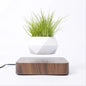 Potted Plant Home Desk Decor My Store