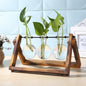 Glass and Wood Vase Planter Table Desktop My Store