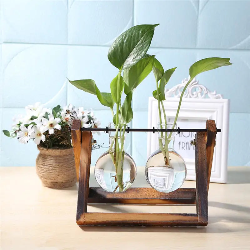 Glass and Wood Vase Planter Table Desktop My Store